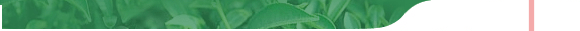 ��Է��ҵ(http://www.wysteatea.com)��ӭ����